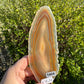 Agaat schijf #1405