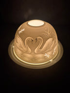 Waxine dome zwaan