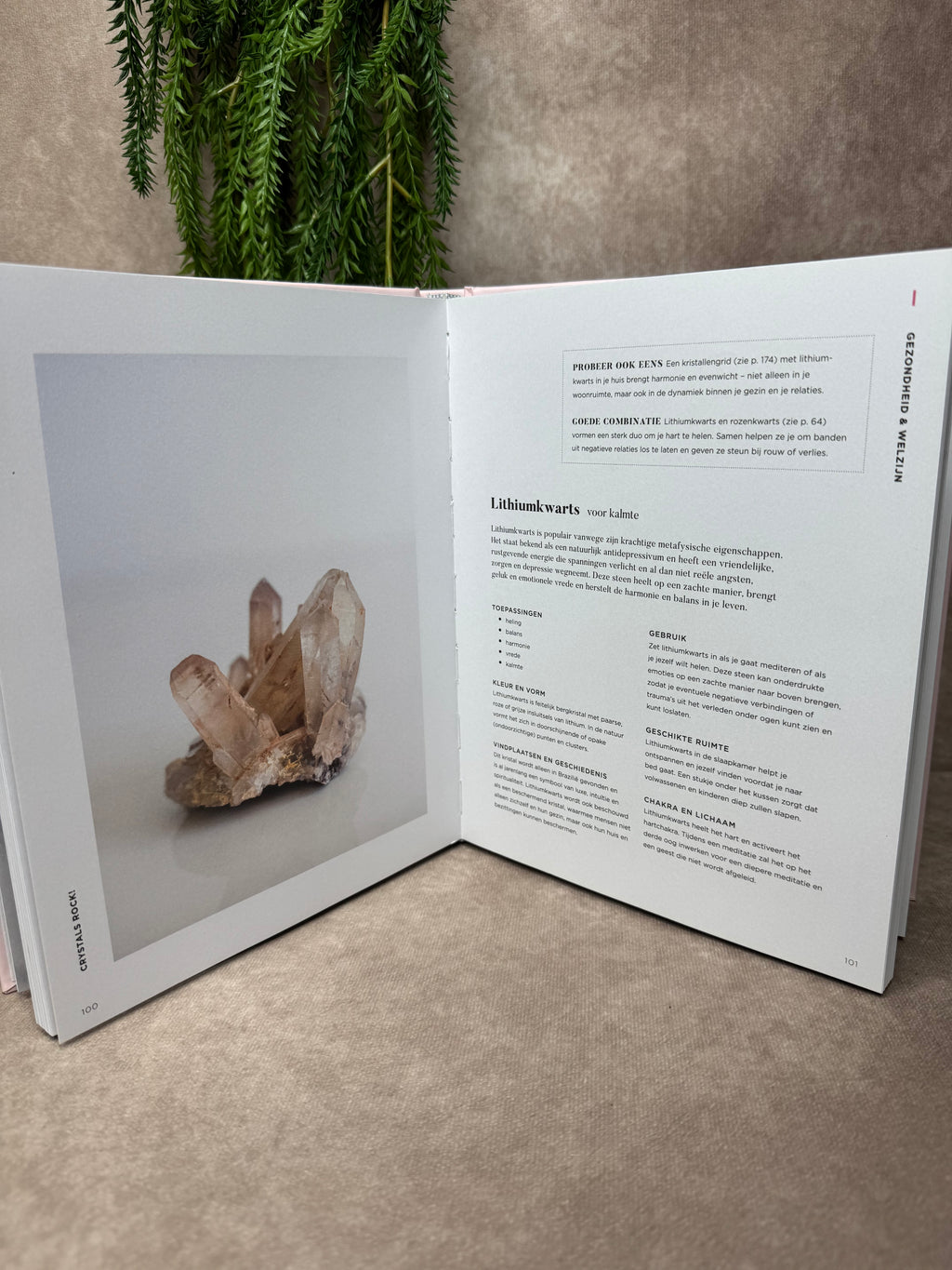 Boek Crystals rock