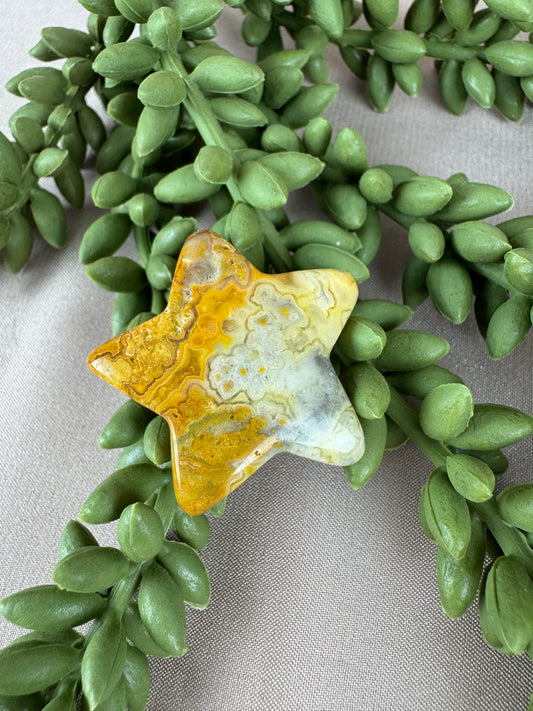 sterretje crazy lace agaat