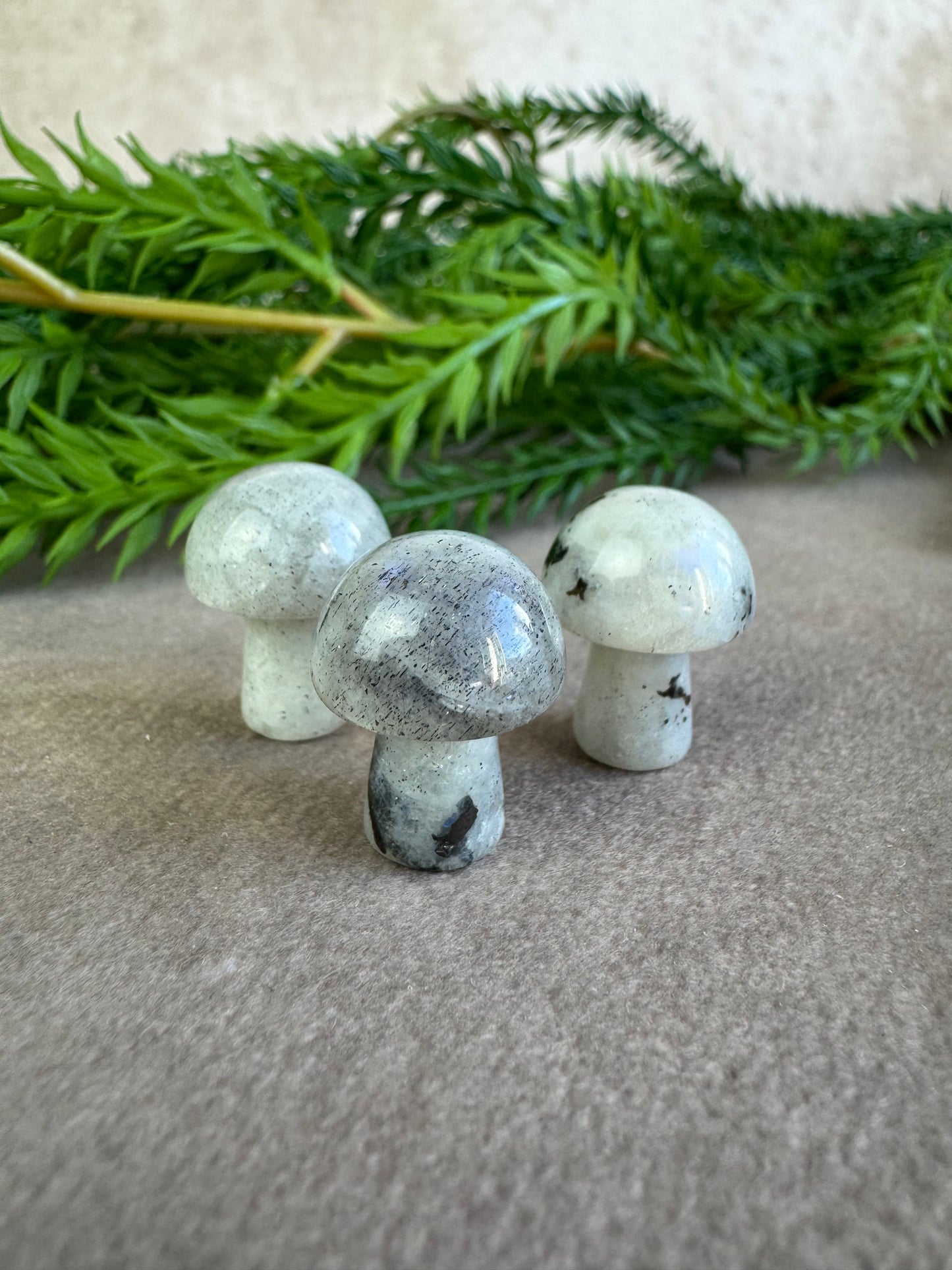 Mini paddenstoelen
