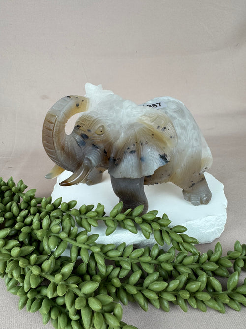 Agaat olifant #1367