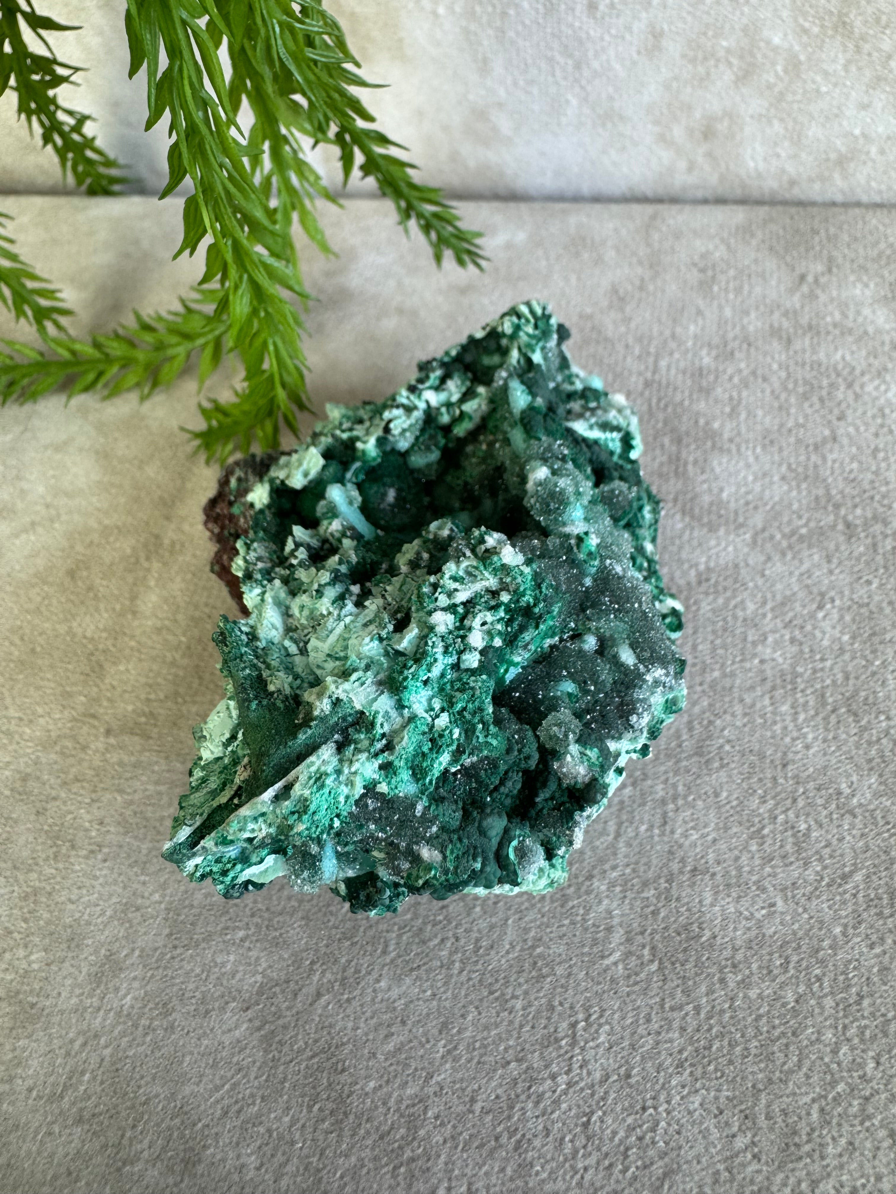 Zeldzaam cluster Chrysocola