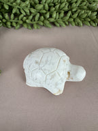 Schildpad sneeuw agaat