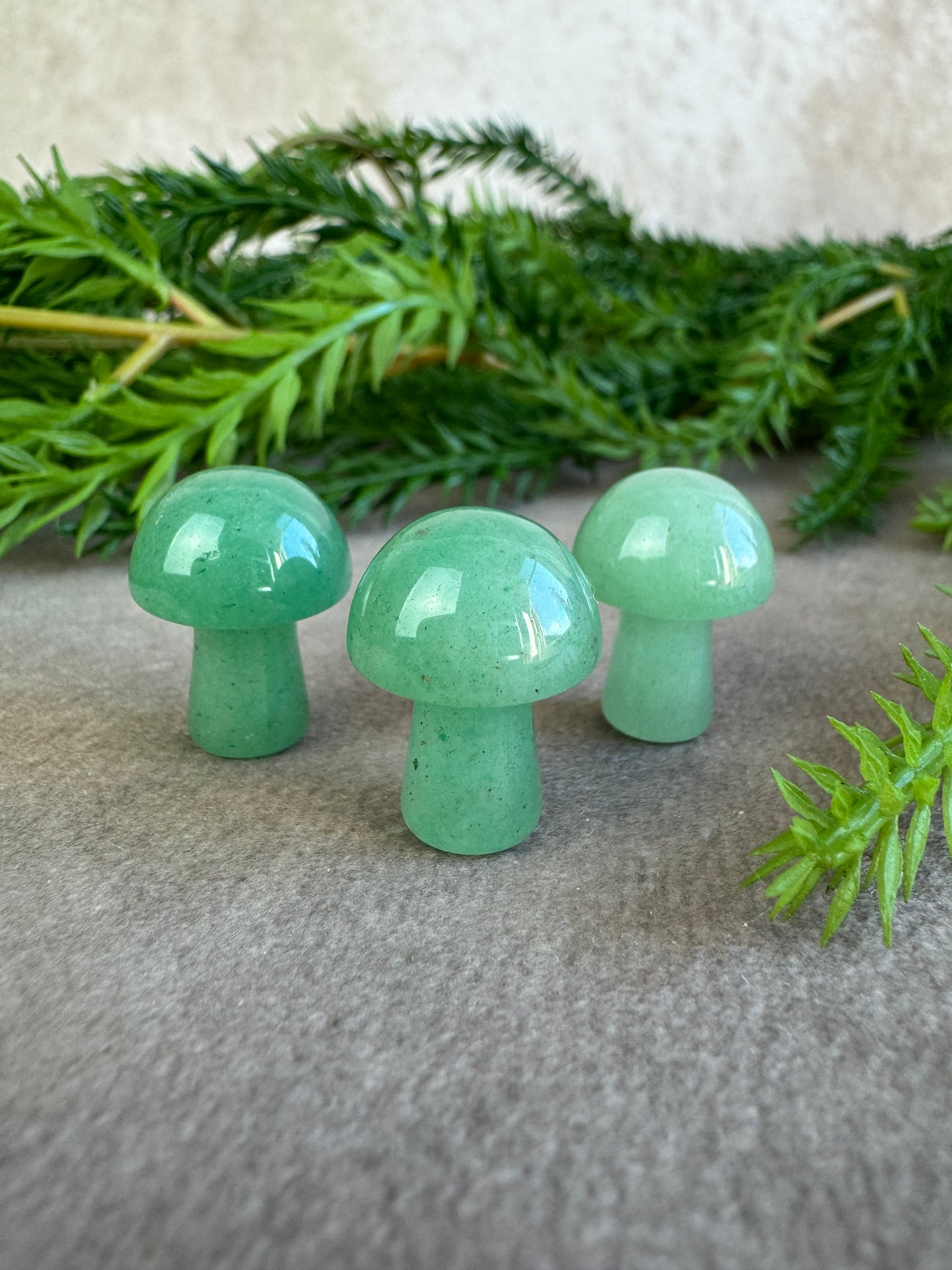 Mini paddenstoelen