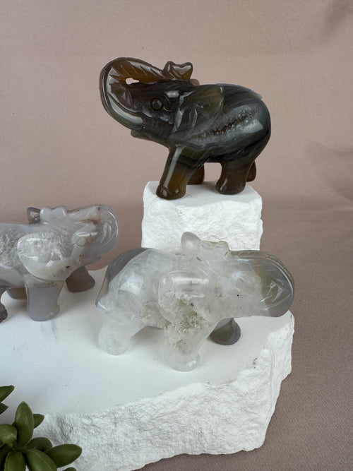 Agaat olifant