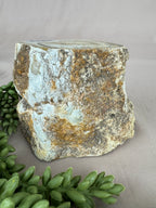 Versteend hout #1212