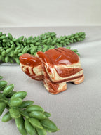 Schildpad rode jaspis