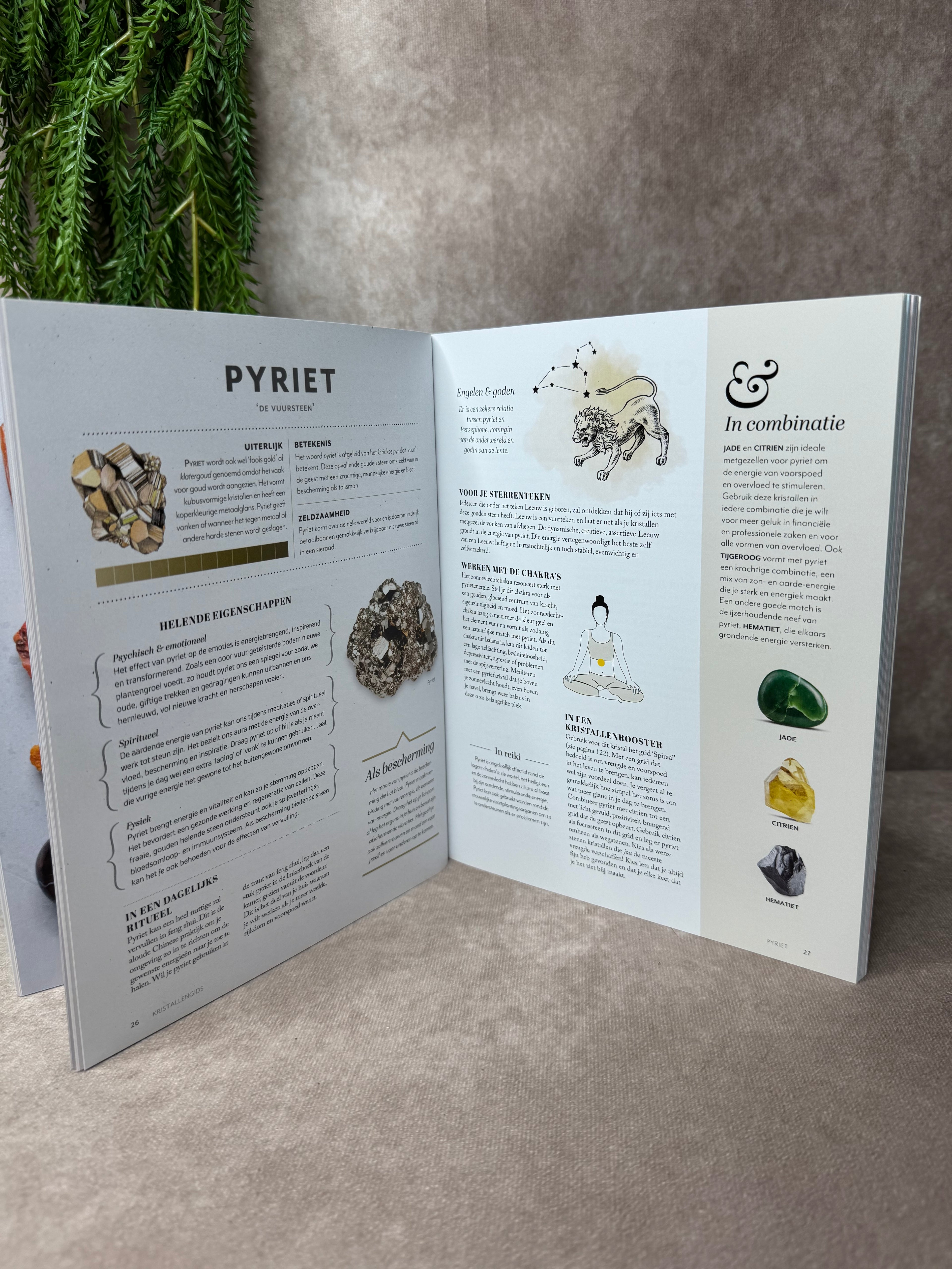 Boek Kracht van Edelstenen