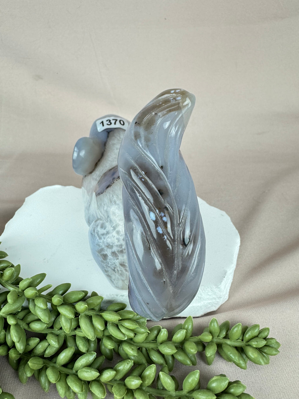 Agaat eekhoorn #1370