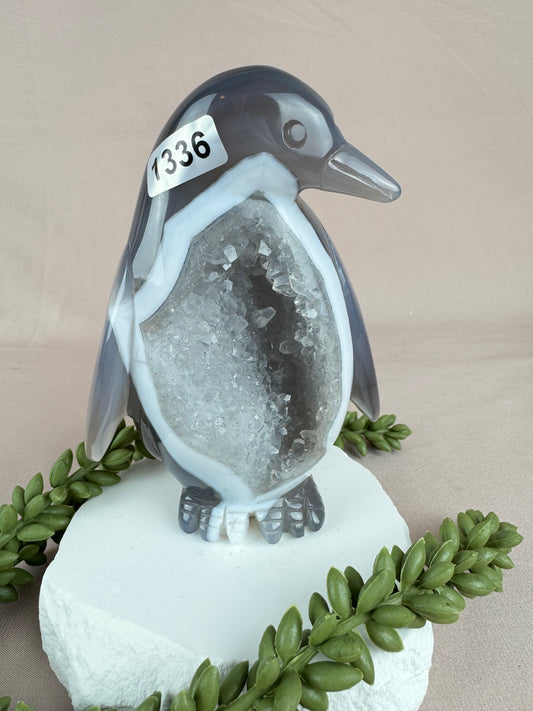 agaat Pinguïn #1336