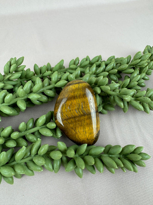 Platte steen Tijgeroog