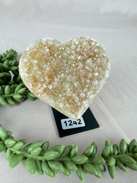 Hartje Amethist #1242