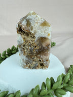 Chalcedoon punt #1338