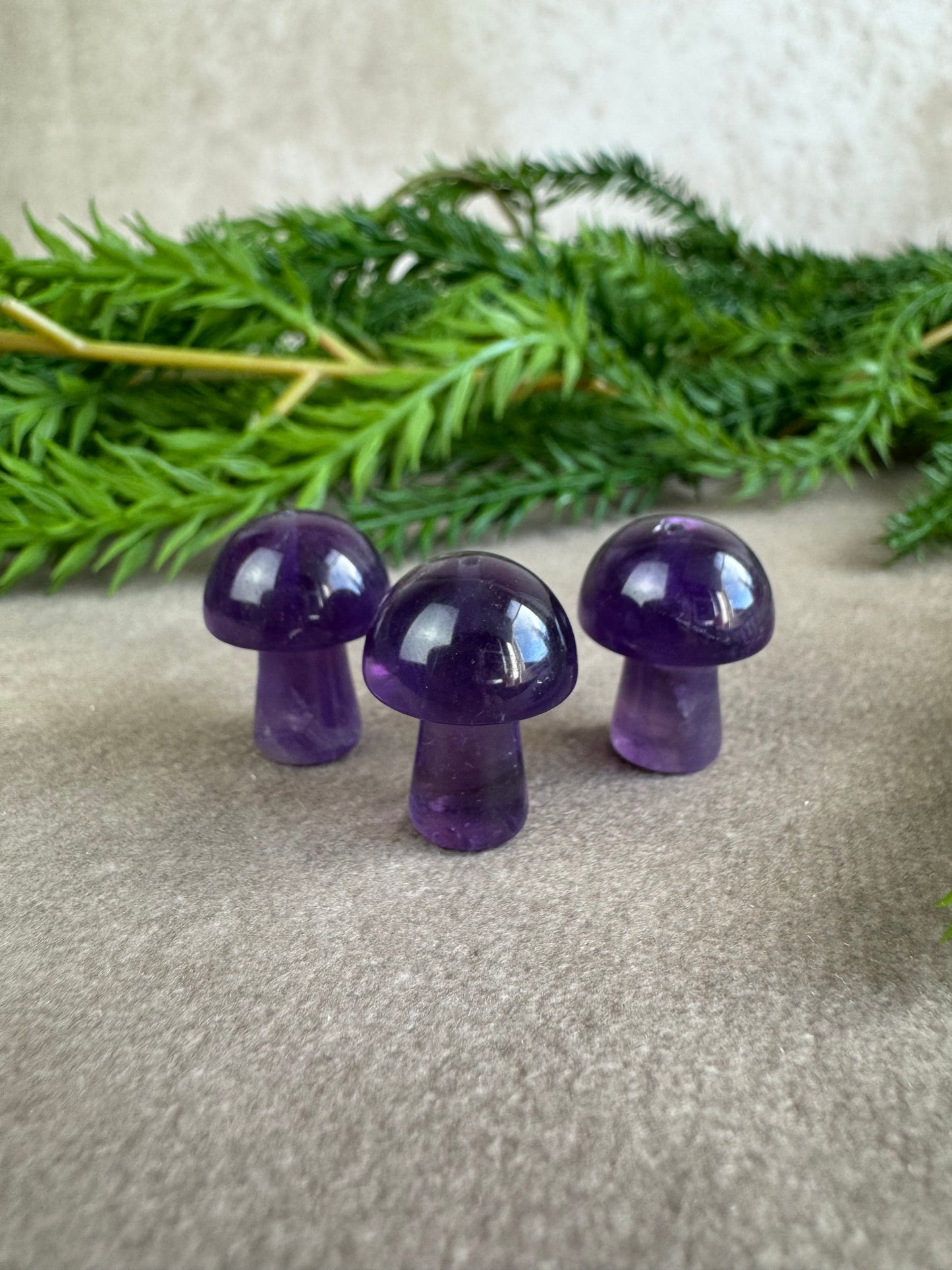 Mini paddenstoelen