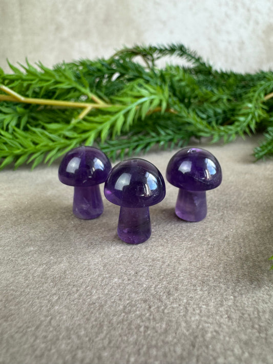 Mini paddenstoelen