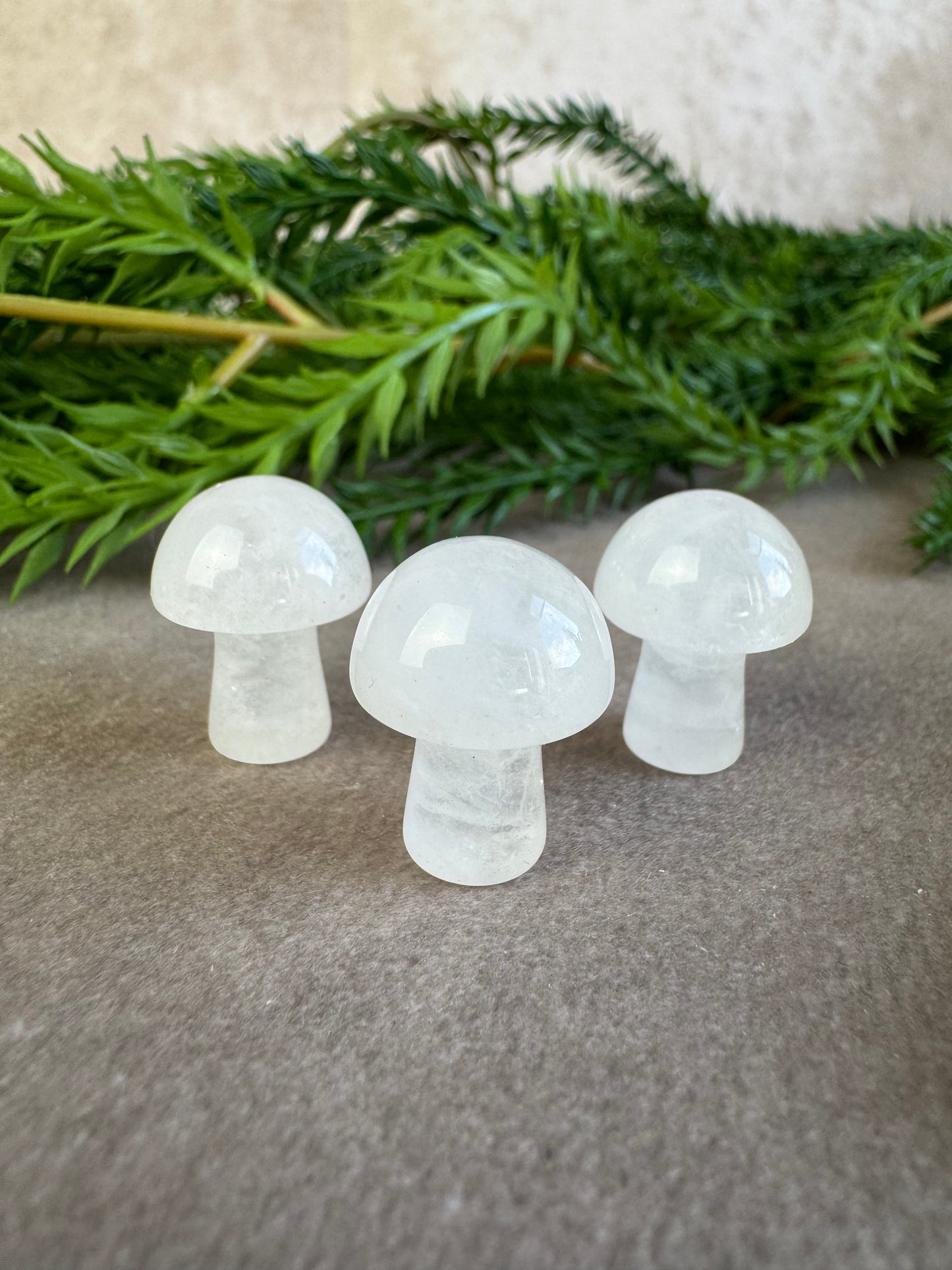 Mini paddenstoelen