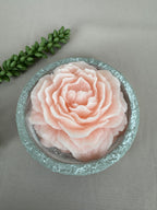 Amber roos Rozen