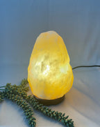 Zoutlamp staand