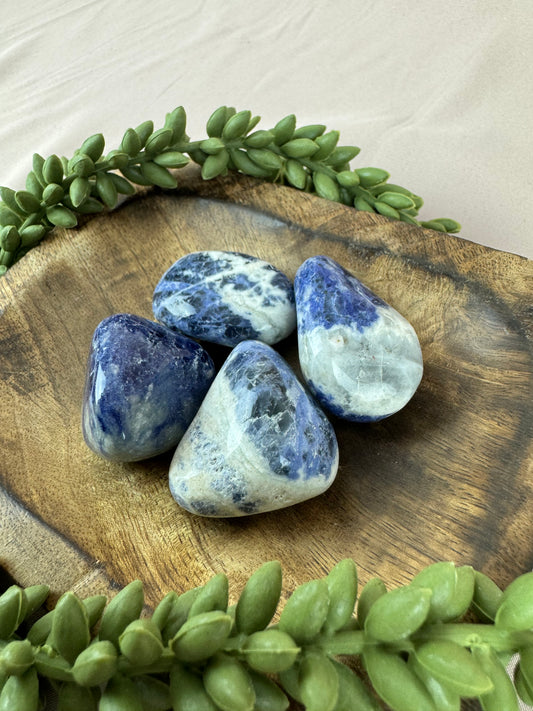 Trommelsteen Sodaliet