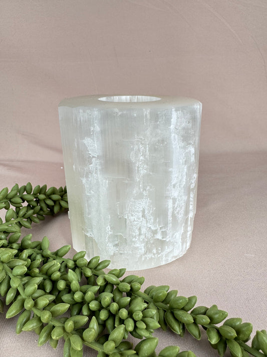 Seleniet waxine groot recht