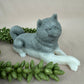 Epoxy honden/katten/wolven