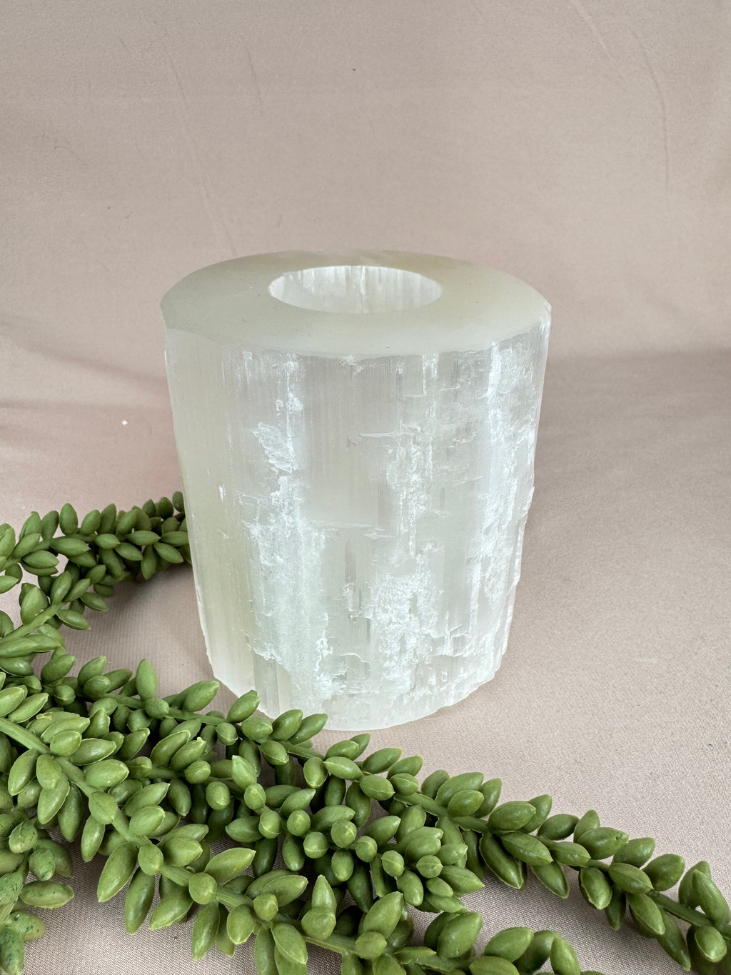 Seleniet waxine groot recht