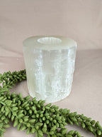 Seleniet waxine groot recht