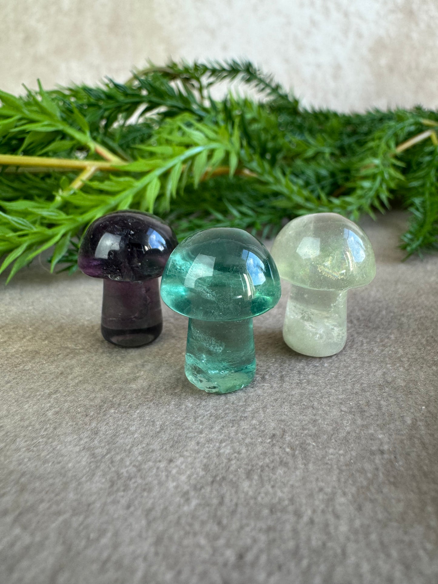 Mini paddenstoelen