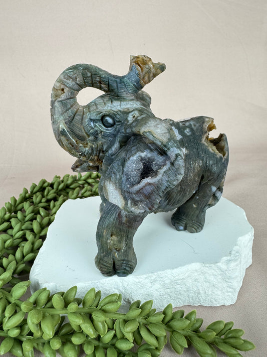 Mos agaat olifant #1352