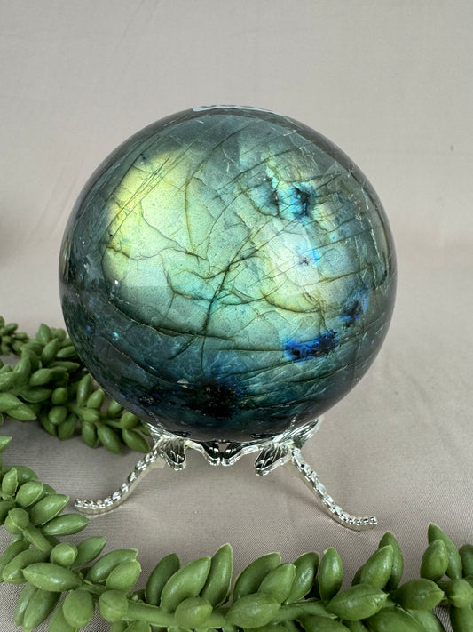 Bol labradoriet #0538