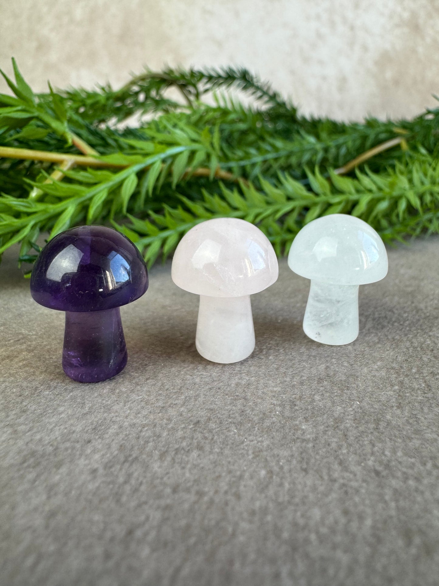 Mini paddenstoelen