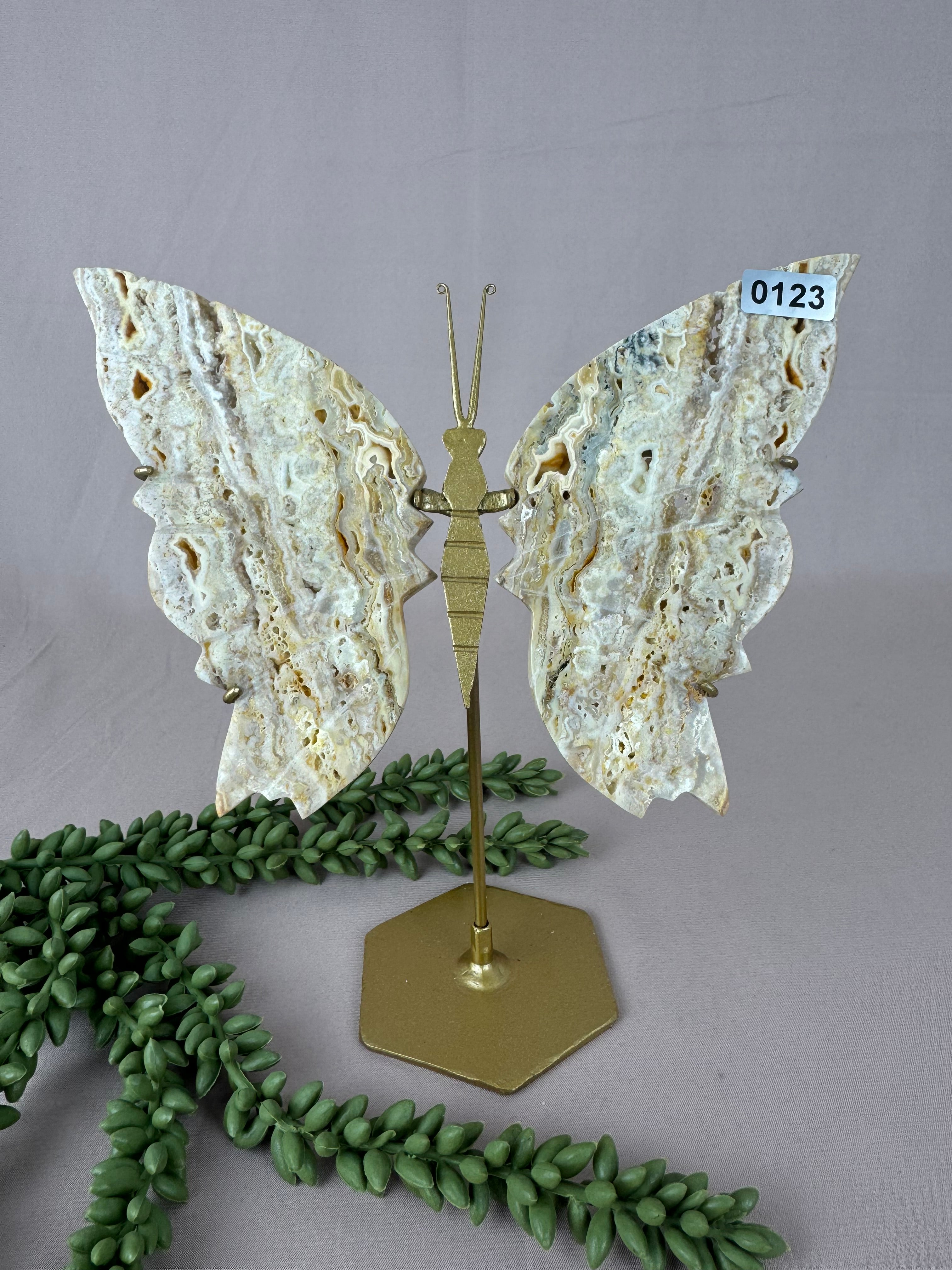 Crazy lace agaat vlinder #0123