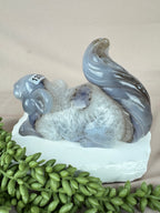 Agaat eekhoorn #1370