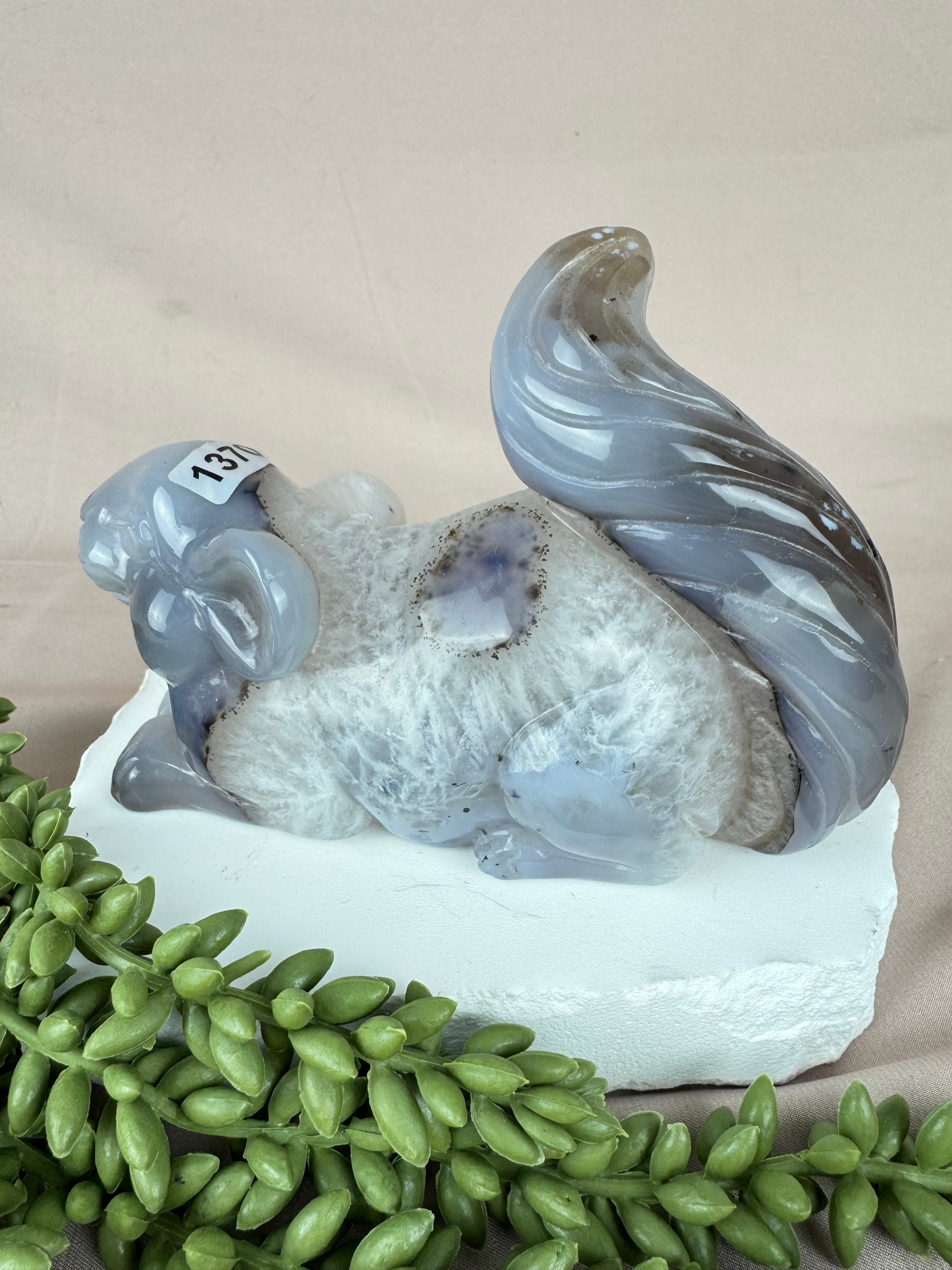 Agaat eekhoorn #1370