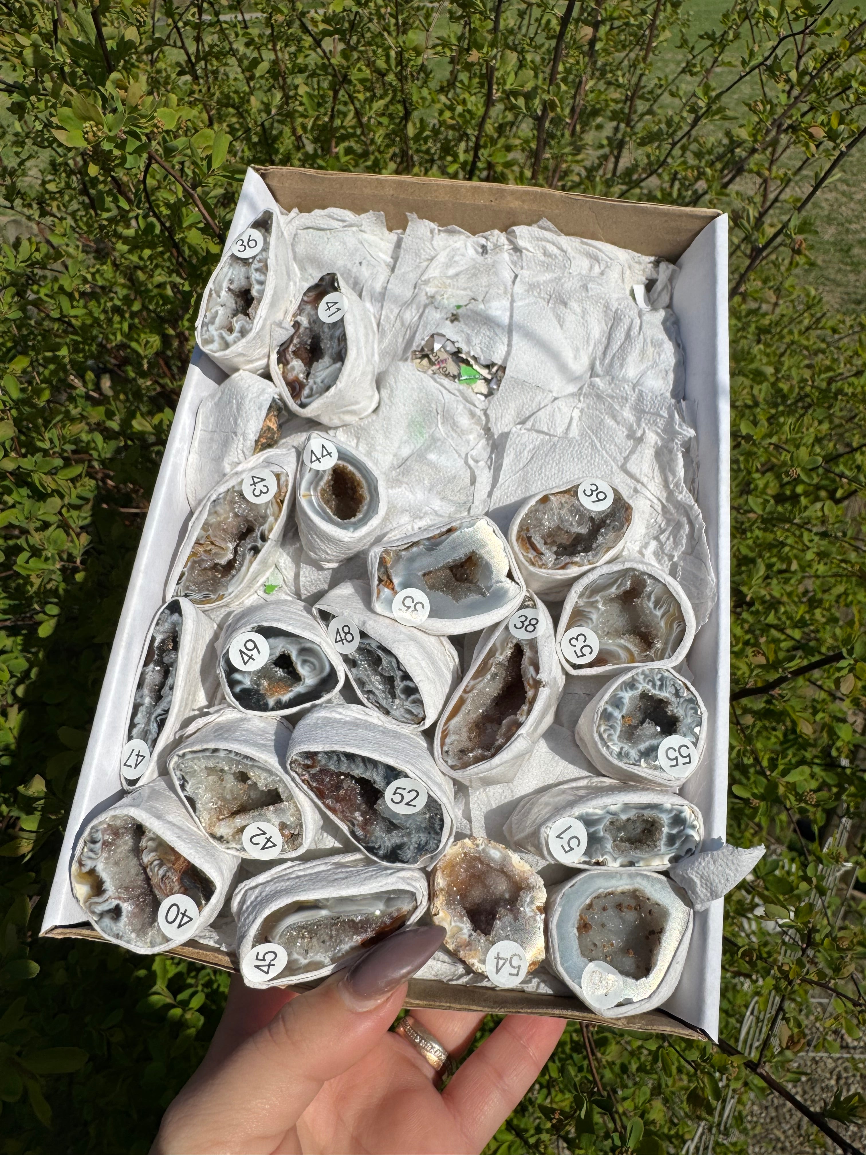 Agaat geodes doos 1