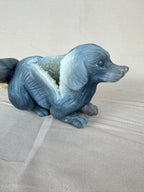 Agaat hond