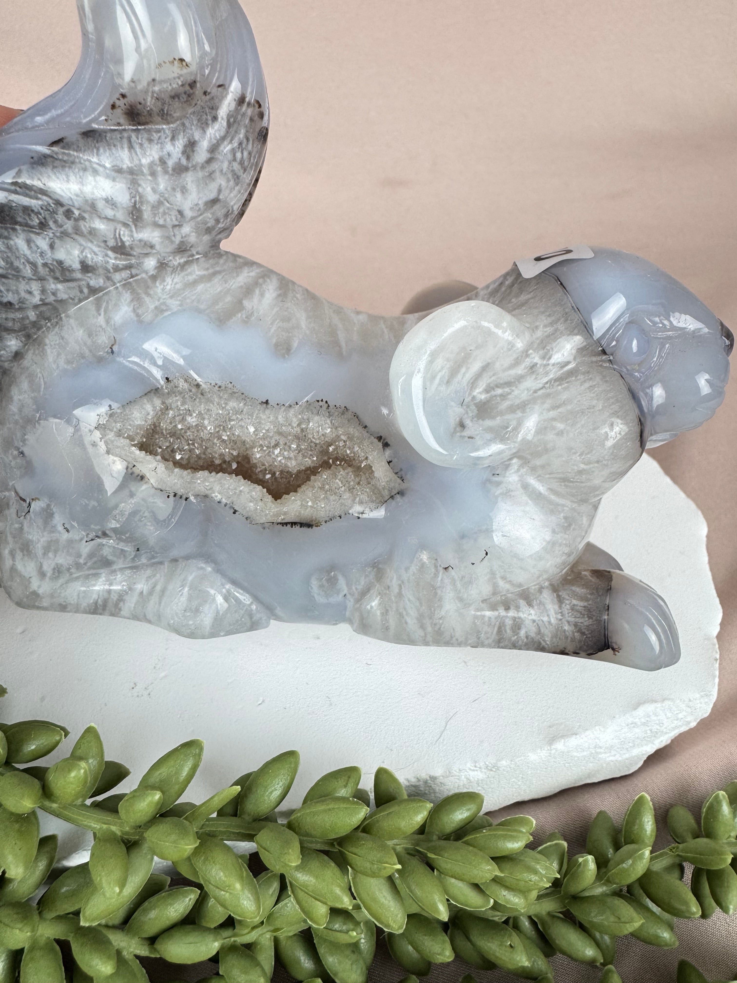 Agaat eekhoorn #1370