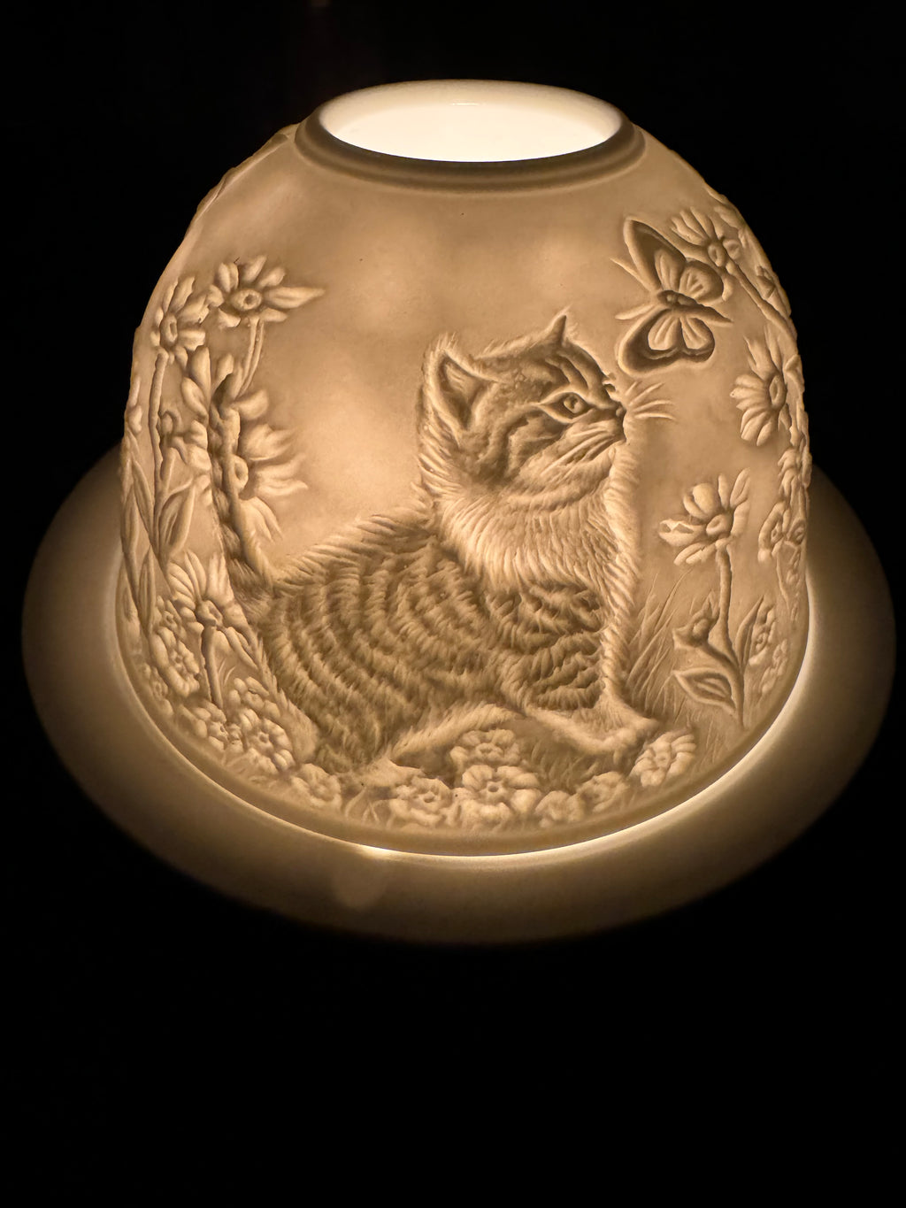 Waxine dome kittens