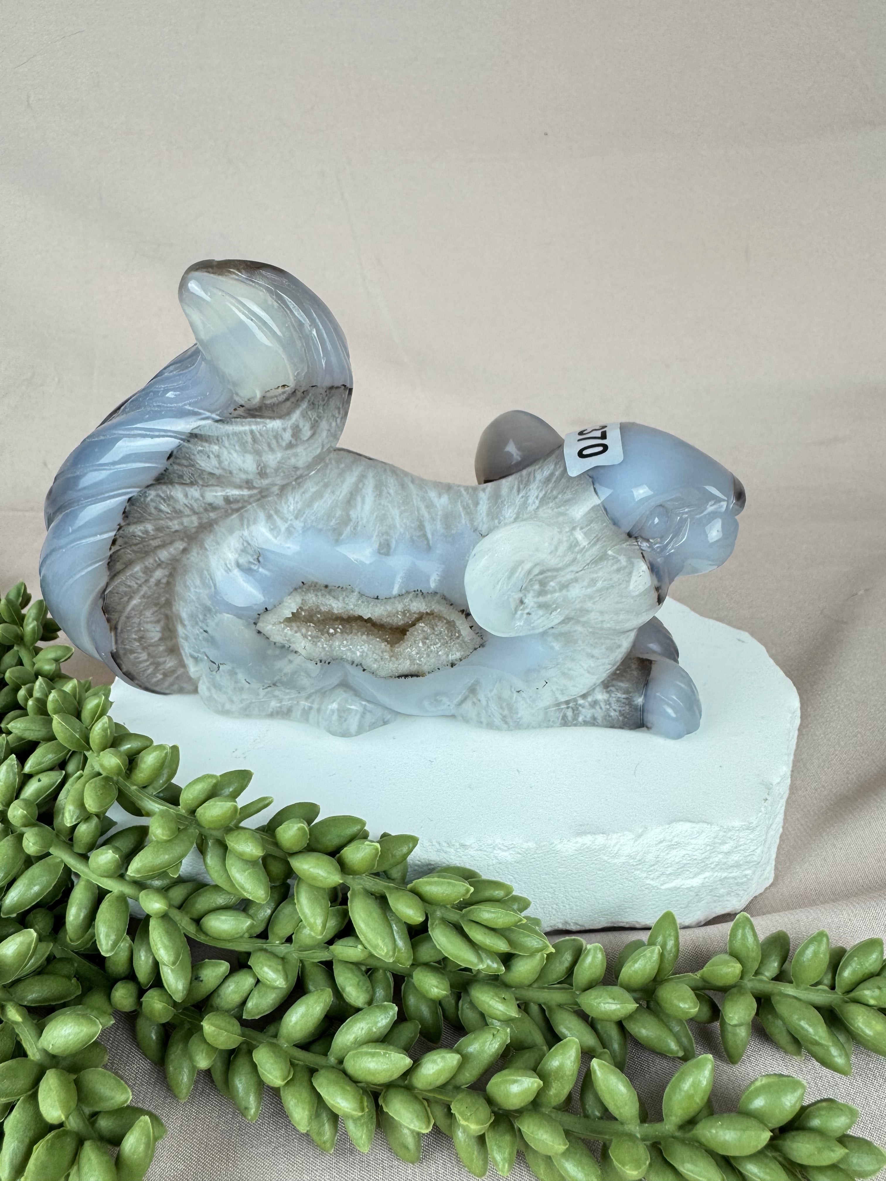 Agaat eekhoorn #1370