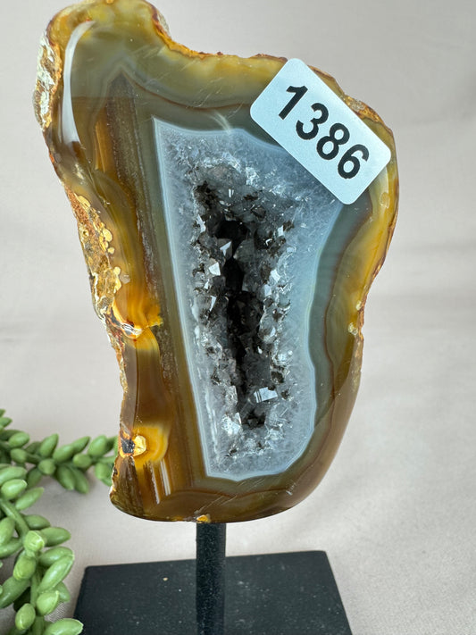 Agaat op standaard #1386