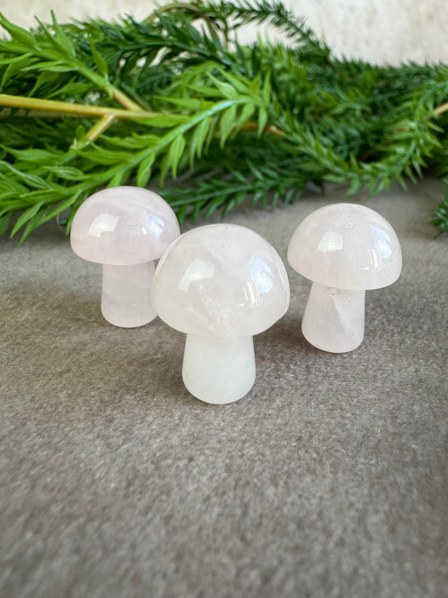 Mini paddenstoelen