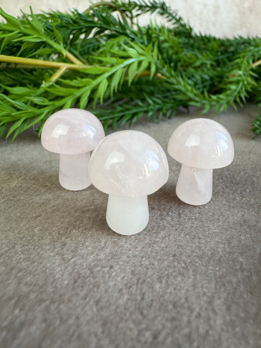 Mini paddenstoelen