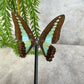 Vlinder in stolp 1