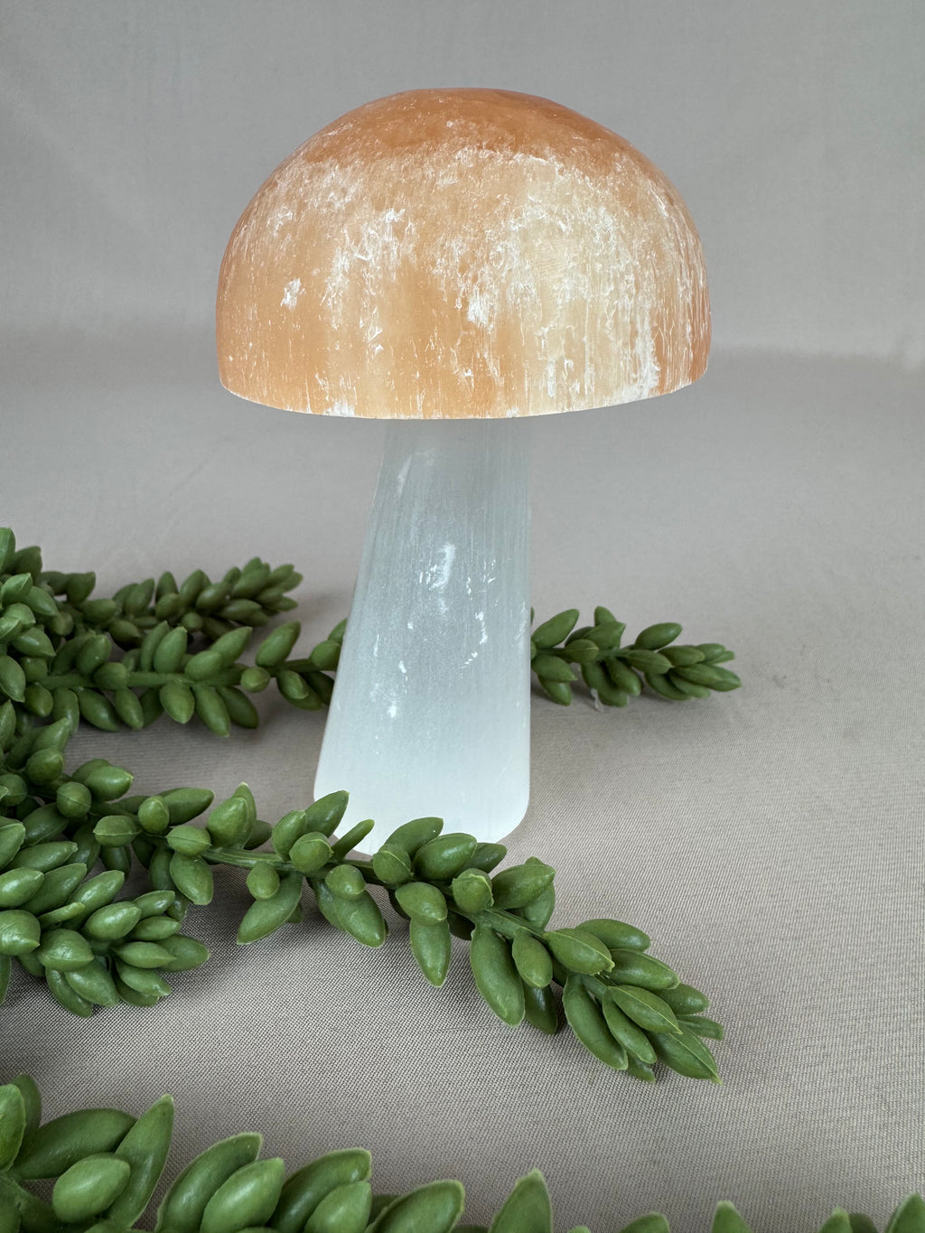 Paddenstoelen Seleniet set