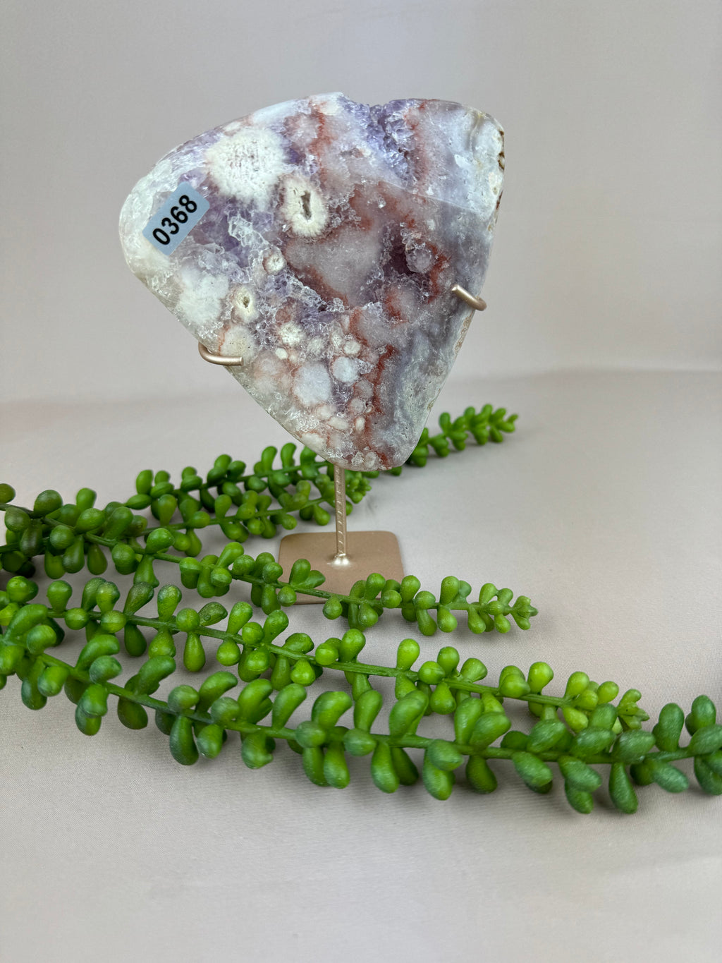 Kunst Erwten plantje