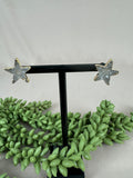 Oorbellen druzy ster