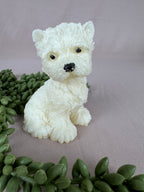 Epoxy honden/katten/wolven