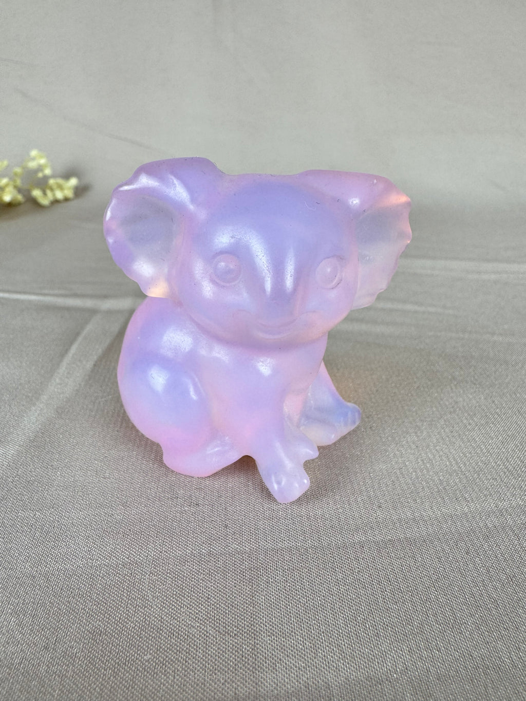 Koala opaliet