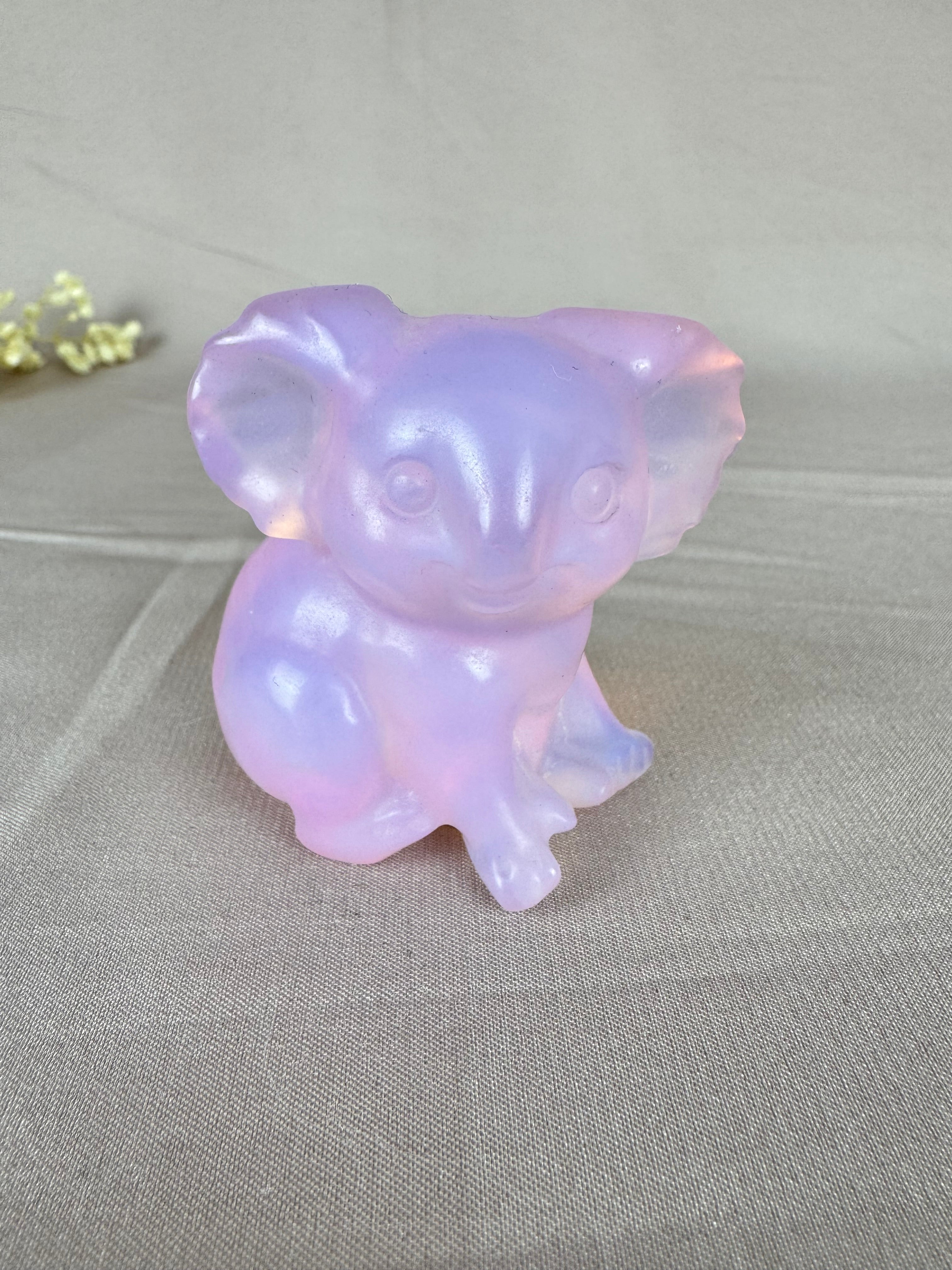 Koala opaliet